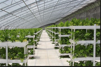 Indoor Smart Vegetable Garden